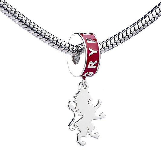 Harry Potter Hogwarts House Slider Charm - Sterling Silver