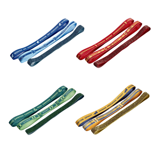 Harry Potter Hogwarts House Elastic Headband Set