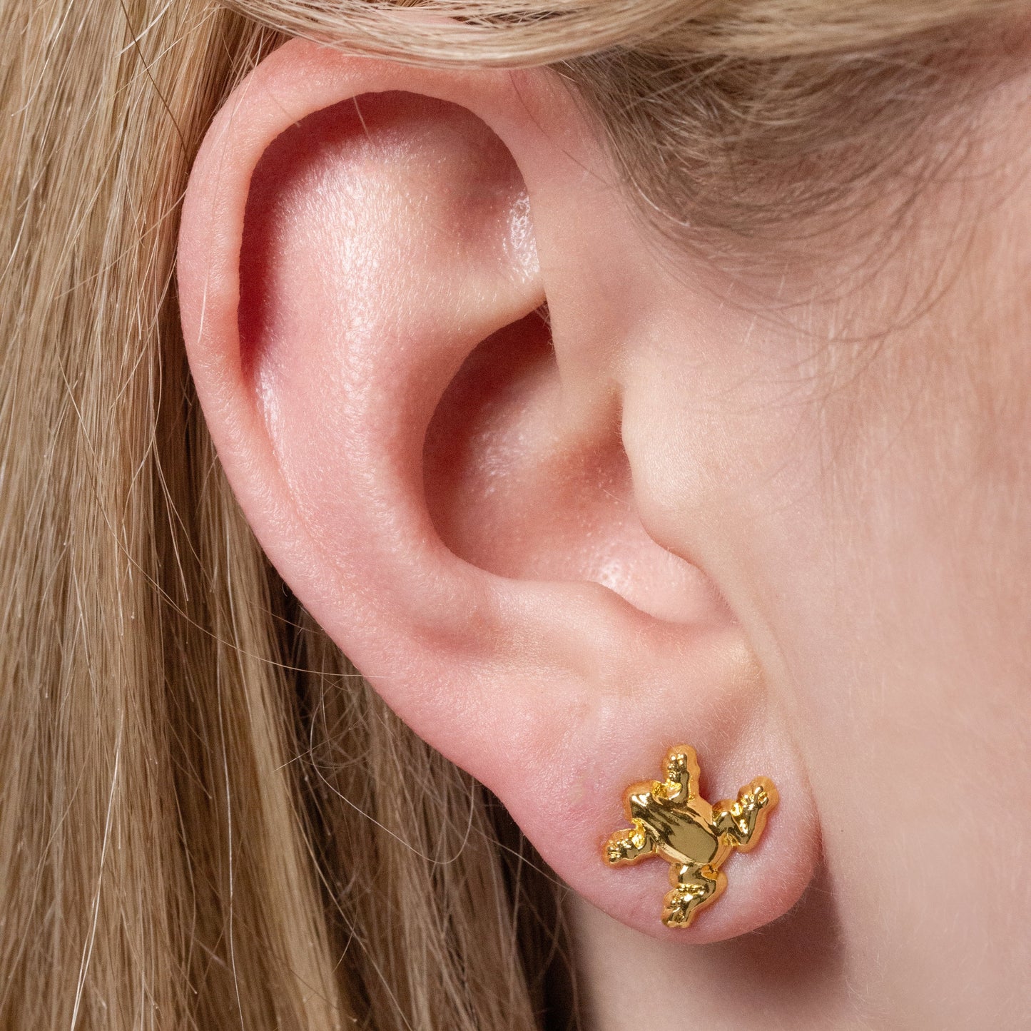Harry Potter Chocolate Frog And Box Stud Earrings
