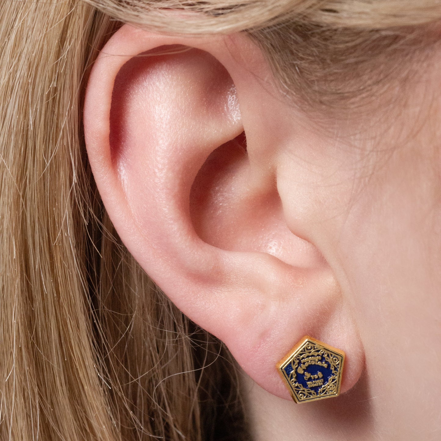 Harry Potter Chocolate Frog And Box Stud Earrings