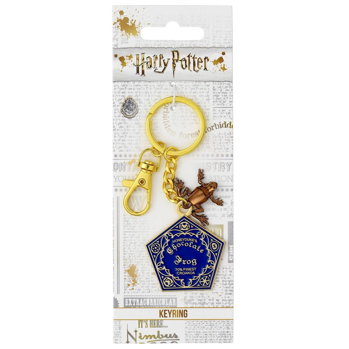 Harry Potter Chocolate Frog Keyring