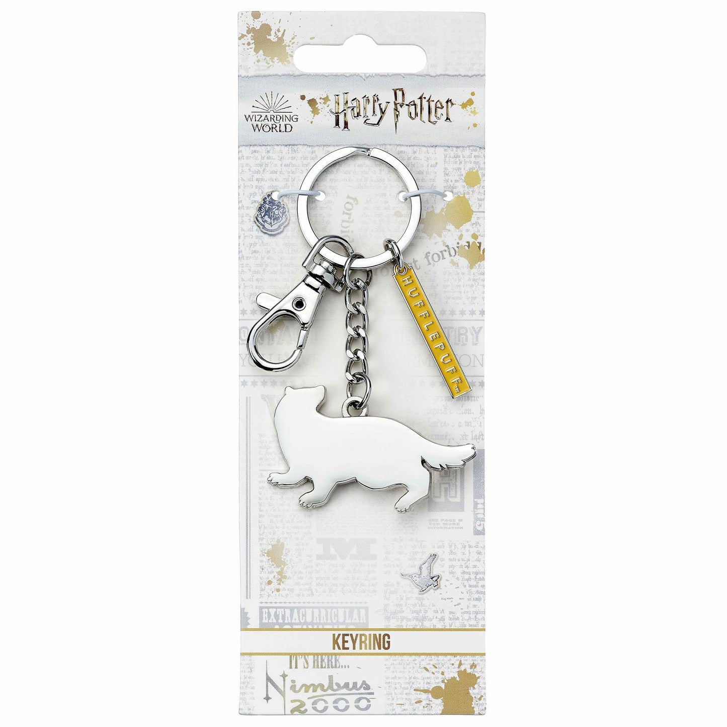 Harry Potter Hogwarts House Keyring