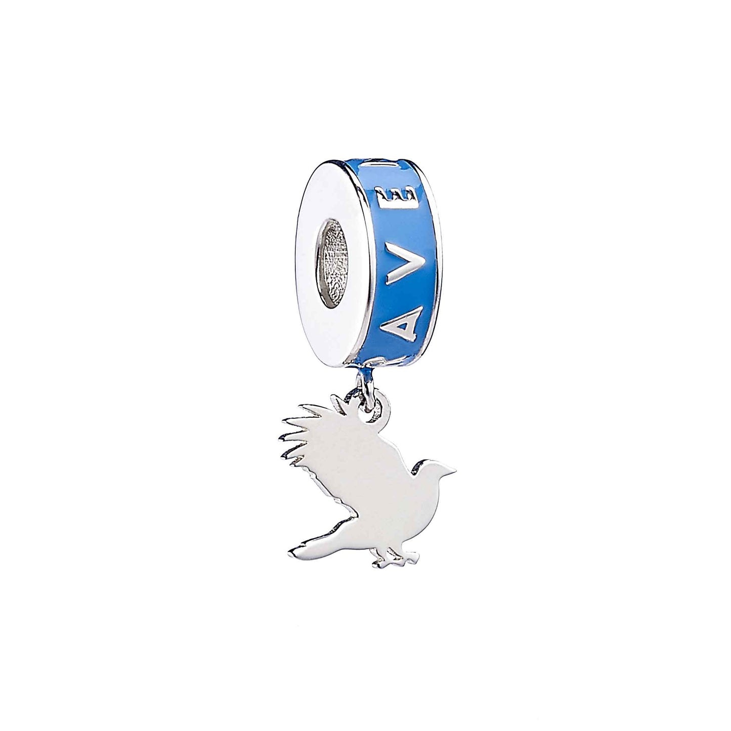 Harry Potter Hogwarts House Slider Charm - Sterling Silver