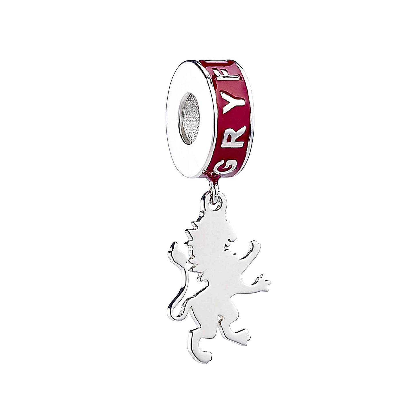 Harry Potter Hogwarts House Slider Charm - Sterling Silver