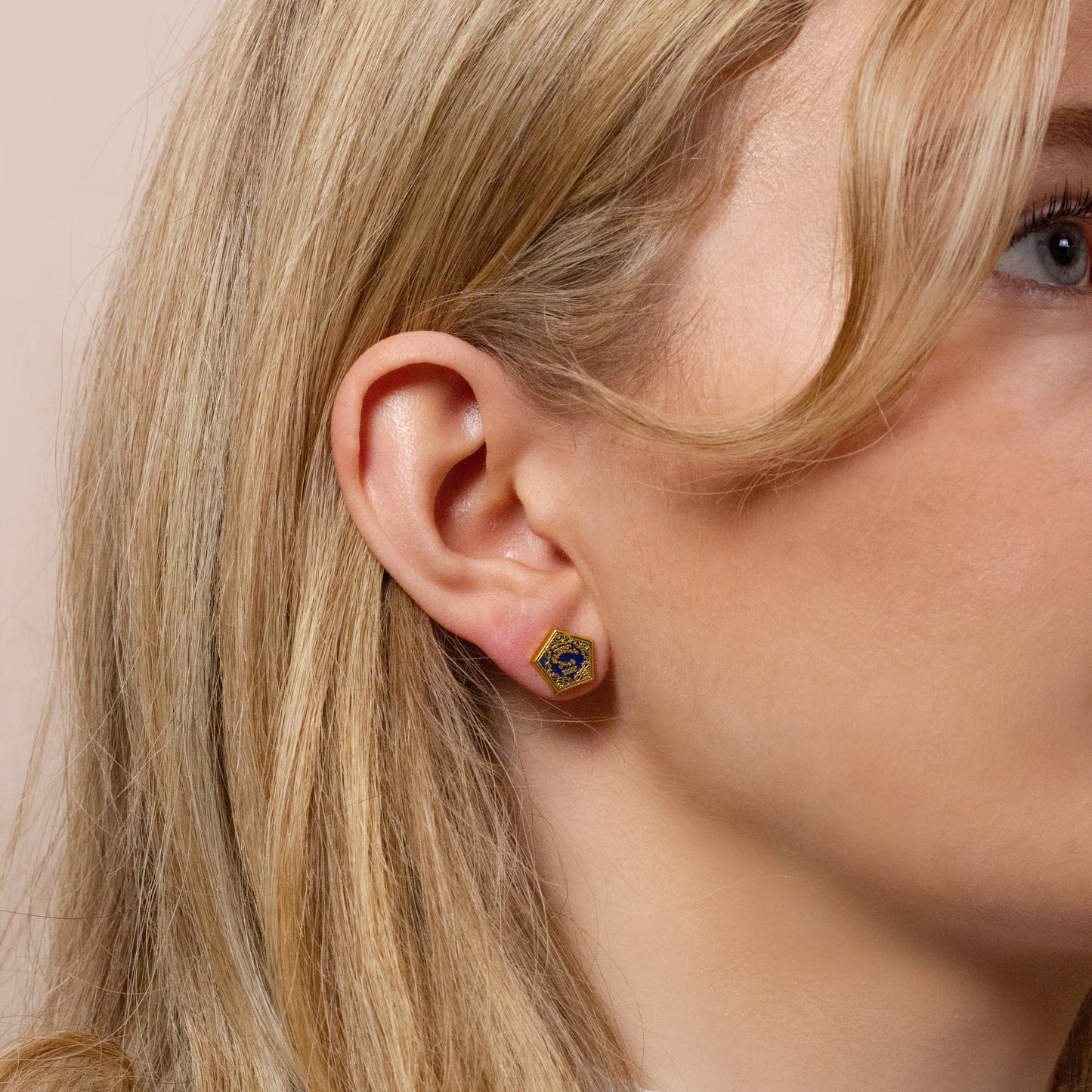 Harry Potter Chocolate Frog And Box Stud Earrings