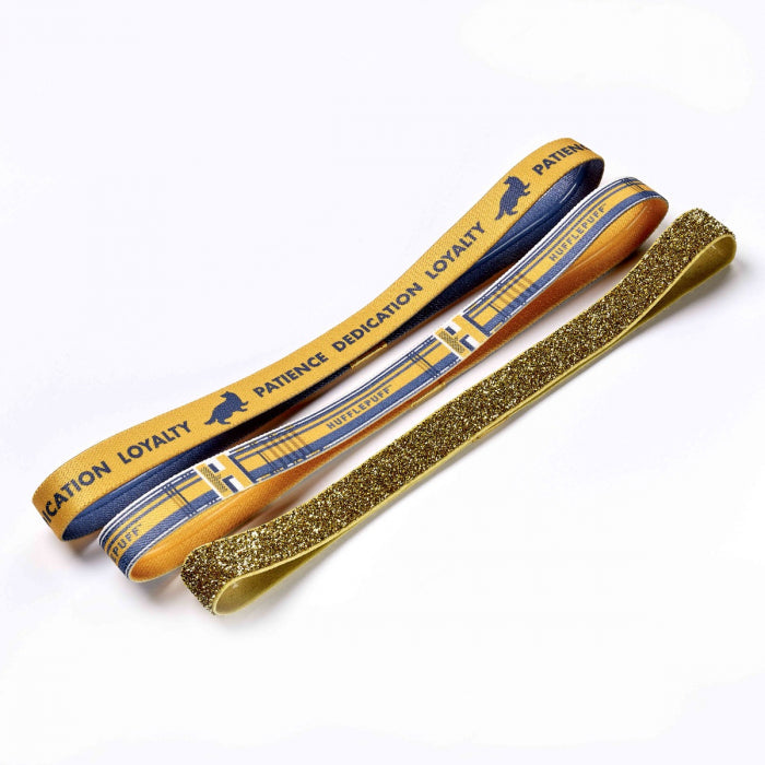 Harry Potter Hogwarts House Elastic Headband Set