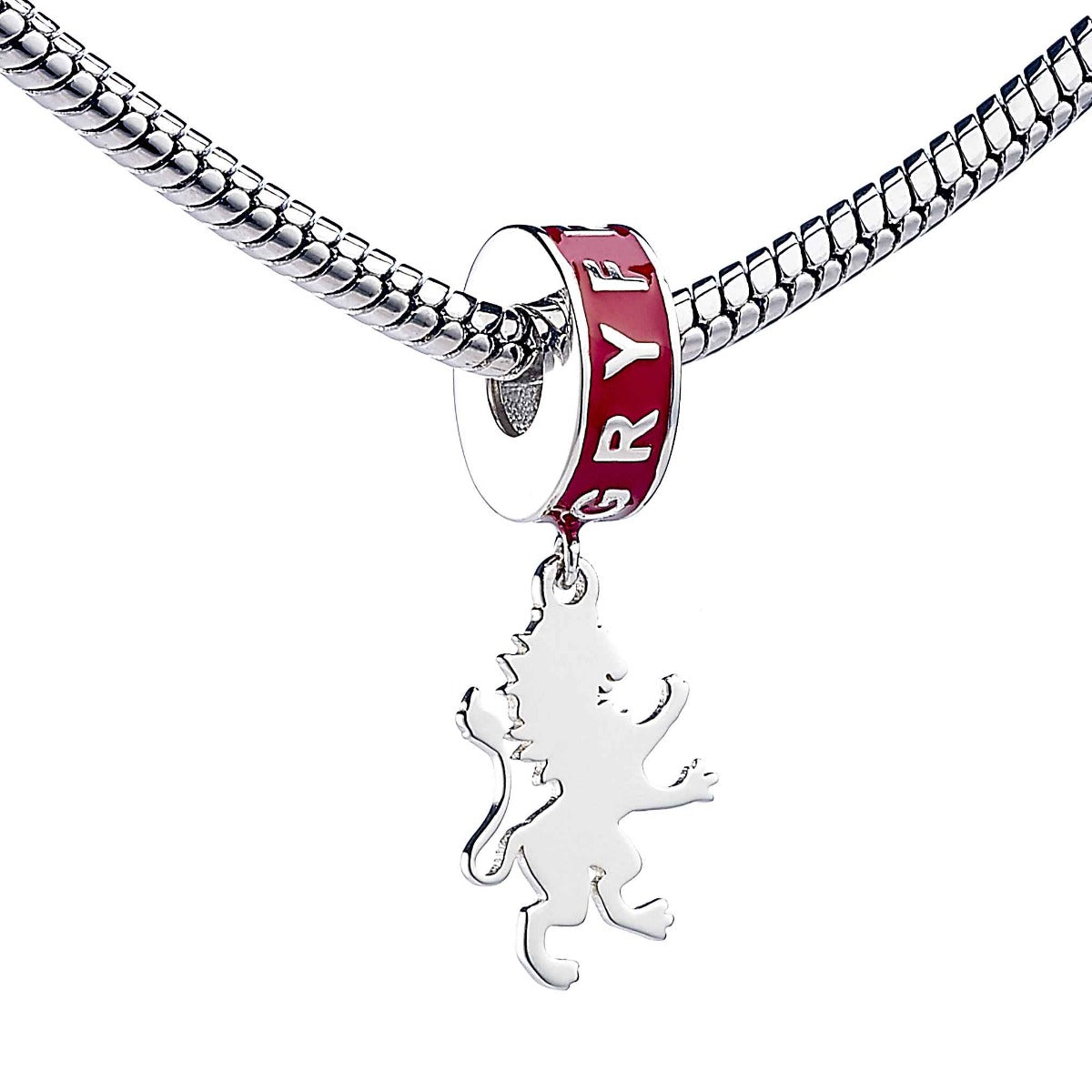 Harry Potter Hogwarts House Slider Charm - Sterling Silver