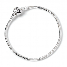 Iconic silver charm on sale bracelet