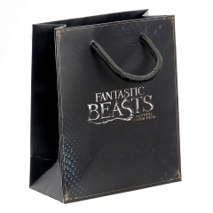 Fantastic Beasts Gift Bag SPECIAL OFFER BOX OF 120